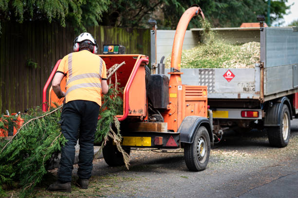 Best Hazardous Tree Removal  in Sheboygan, WI